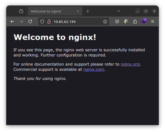 nginx greetings