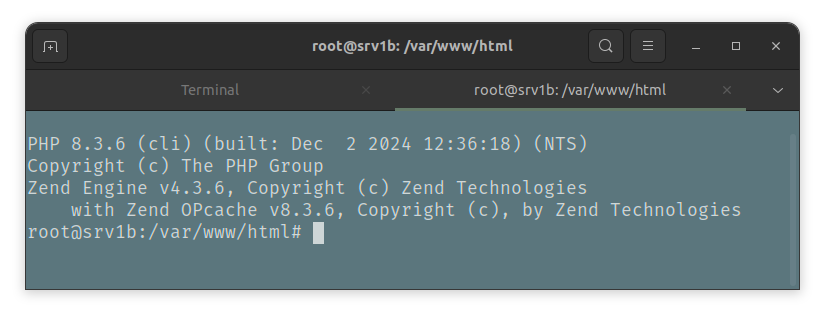php version